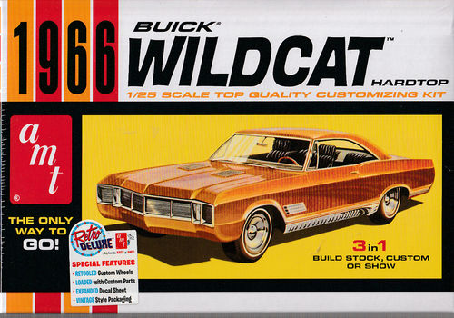 Buick Wildcat Hardtop 3in1 Stock,Custo Show Car.